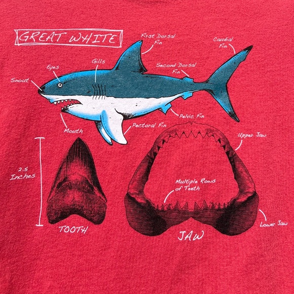 Great White Short Sleeve Tee Shirt - Picture 2 of 13